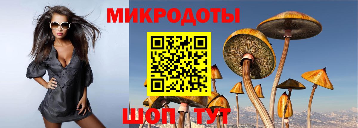 Псилоцибиновые грибы Magic Shrooms Калининград