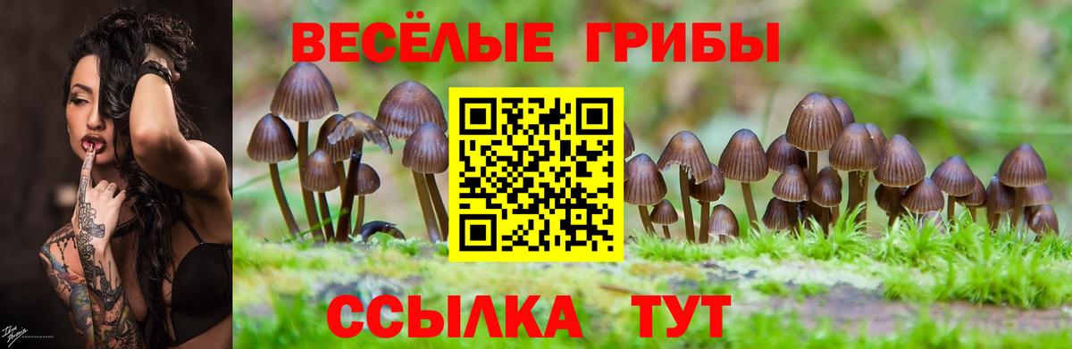 Псилоцибиновые грибы прущие грибы  Галлюциногенные грибы Psilocybine cubensis  Калининград  Вход с VPN 